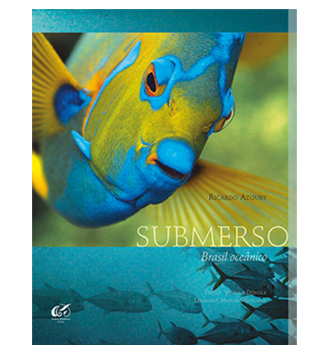 Submerso – Brasil oceânico