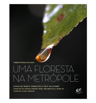 Parque Nacional da Tijuca – uma floresta na metrópole