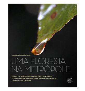 Parque Nacional da Tijuca – uma floresta na metrópole