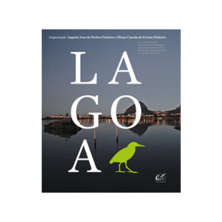 Lagoa Rodrigo de Freitas