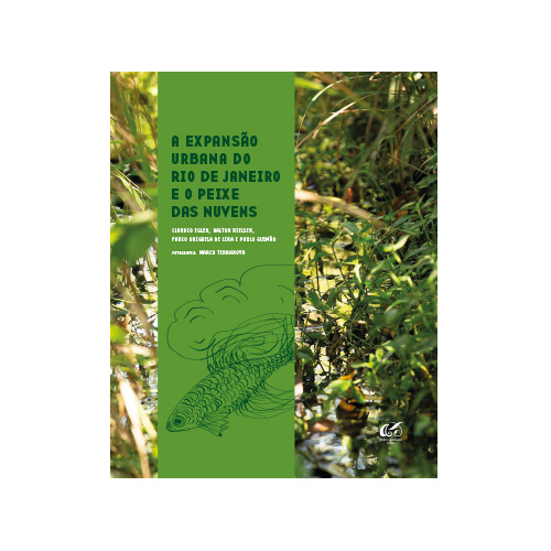 A Expansão urbana do Rio de Janeiro e o peixe das nuvens