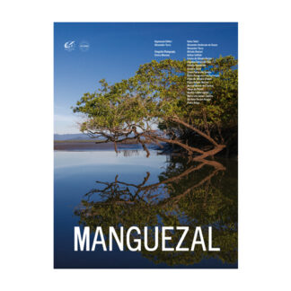 Manguezal